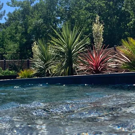 Aux Palmiers,piscine 28°,petanque,coeur Bassin * Audenge