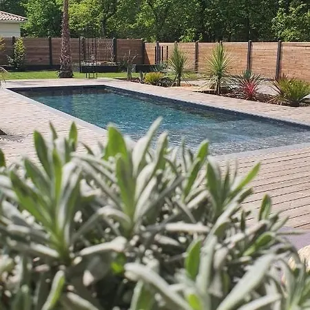 Ferienhaus Aux Palmiers,piscine 28°,petanque,coeur Bassin *