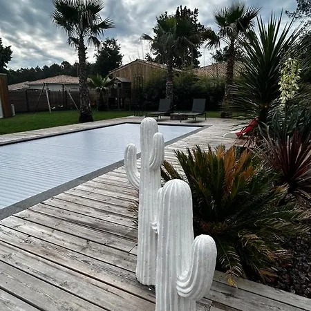 Aux Palmiers,piscine 28°,petanque,coeur Bassin Ferienhaus